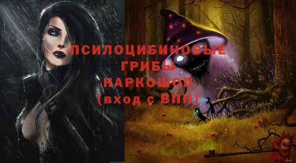 МДПВ Абаза