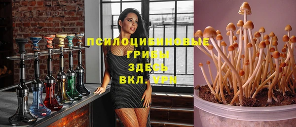 соль ск Абдулино